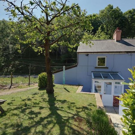 Lilac Cottage Parkend Dış mekan fotoğraf